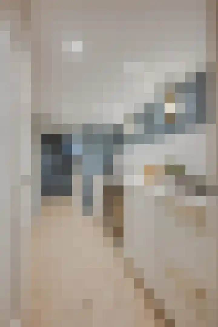 Zijdeweg 7 Wassenaar thumbnail 52