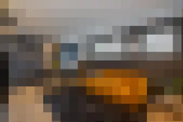 Zijdeweg 7 Wassenaar thumbnail 55