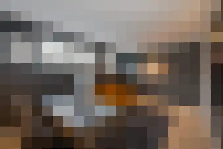 Zijdeweg 7 Wassenaar thumbnail 56