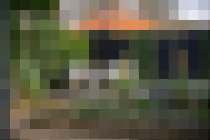 Zijdeweg 7 Wassenaar thumbnail 62