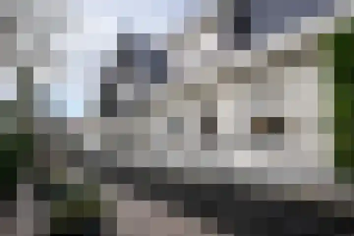 Zijdeweg 7 Wassenaar thumbnail 65