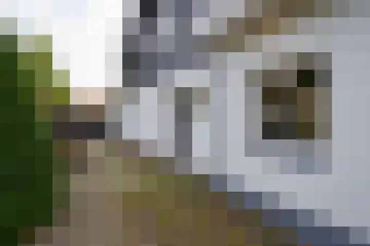 Zijdeweg 7 Wassenaar thumbnail 71