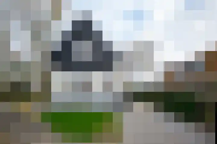 Zijdeweg 7 Wassenaar thumbnail 73