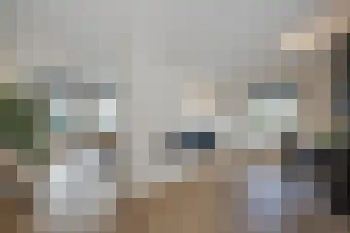 Zijdeweg 7 Wassenaar thumbnail 9