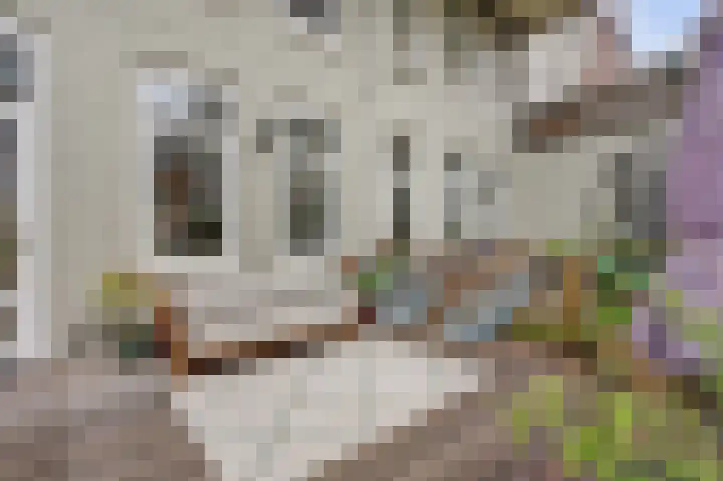 Zijdewindestraat 49 B Rotterdam thumbnail 6
