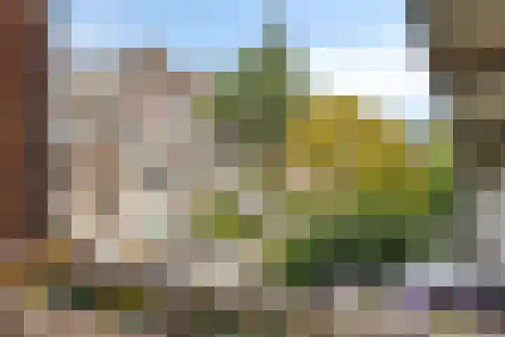 Zijdewindestraat 53 Rotterdam thumbnail 16
