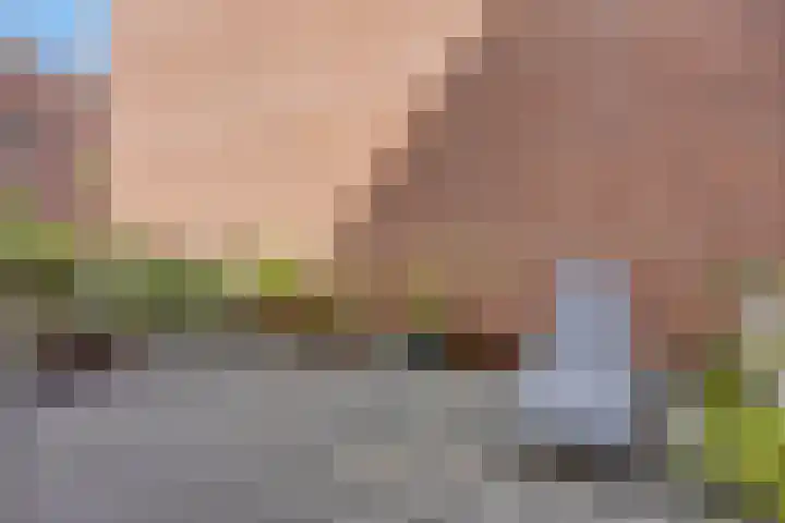 Zijdewindestraat 53 Rotterdam thumbnail 19