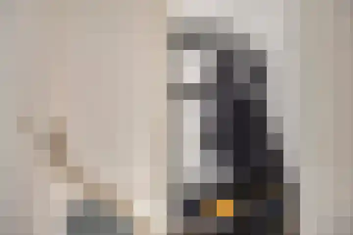 Zijdewindestraat 53 Rotterdam thumbnail 7