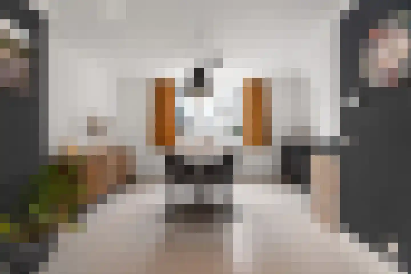 Zijdewindestraat 93 Rotterdam thumbnail 13