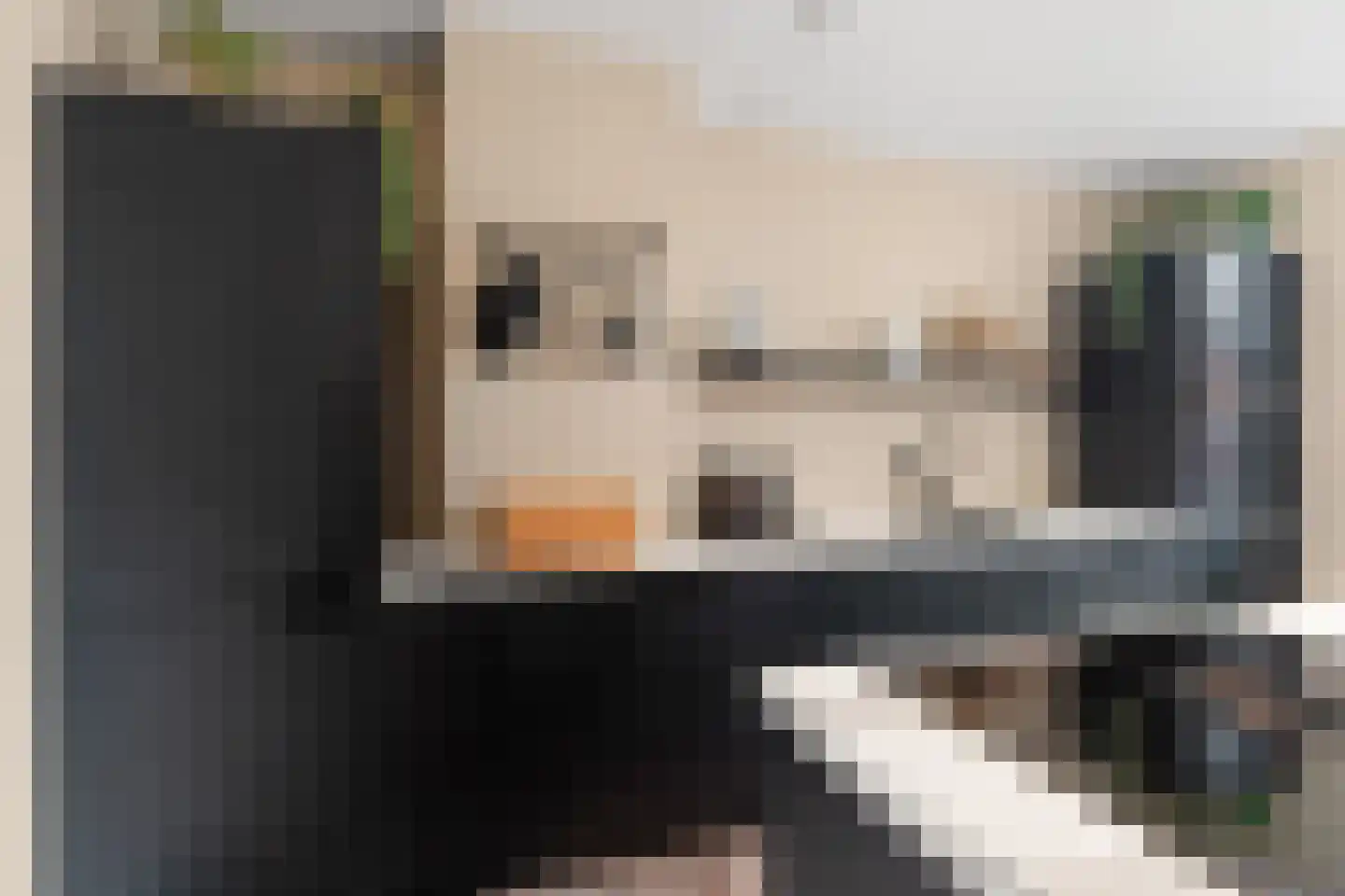 Zijdewindestraat 93 Rotterdam thumbnail 21