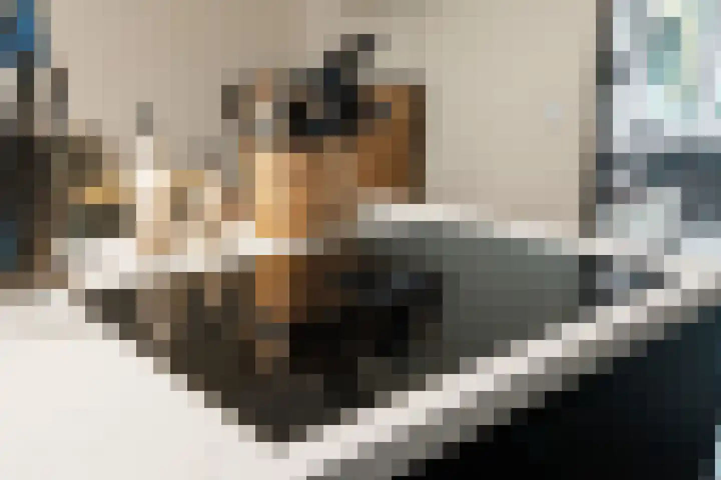 Zijdewindestraat 93 Rotterdam thumbnail 25