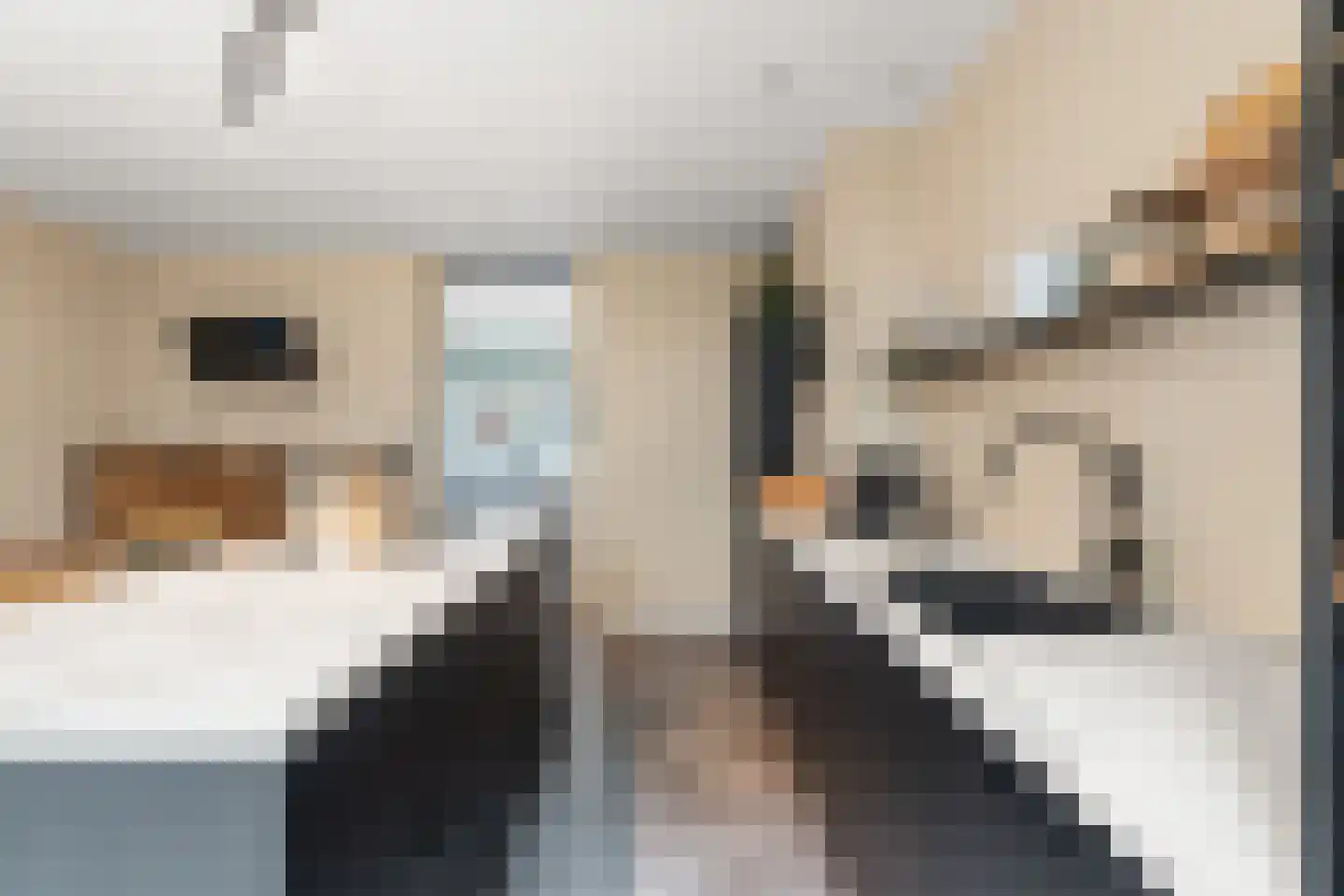 Zijdewindestraat 93 Rotterdam thumbnail 26