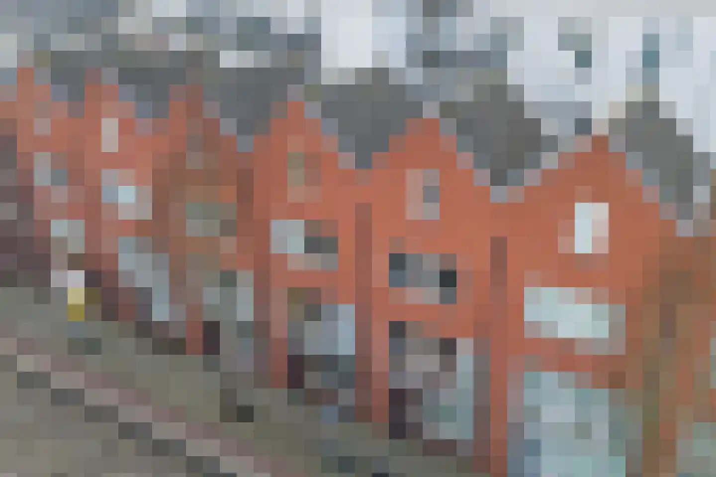 Zijdewindestraat 93 Rotterdam thumbnail 4