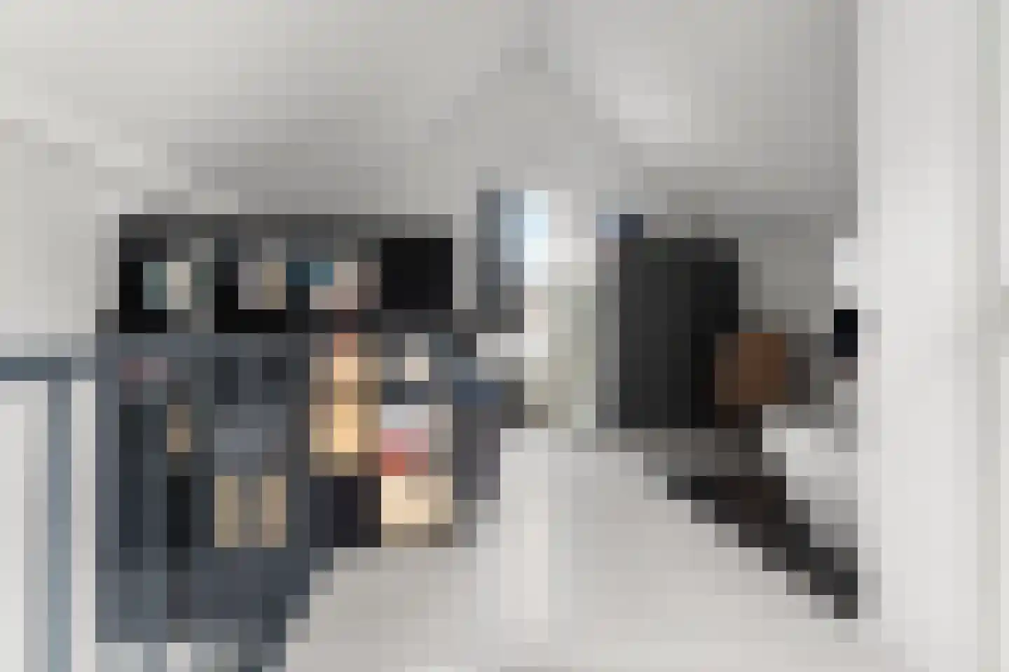 Zijdewindestraat 93 Rotterdam thumbnail 47