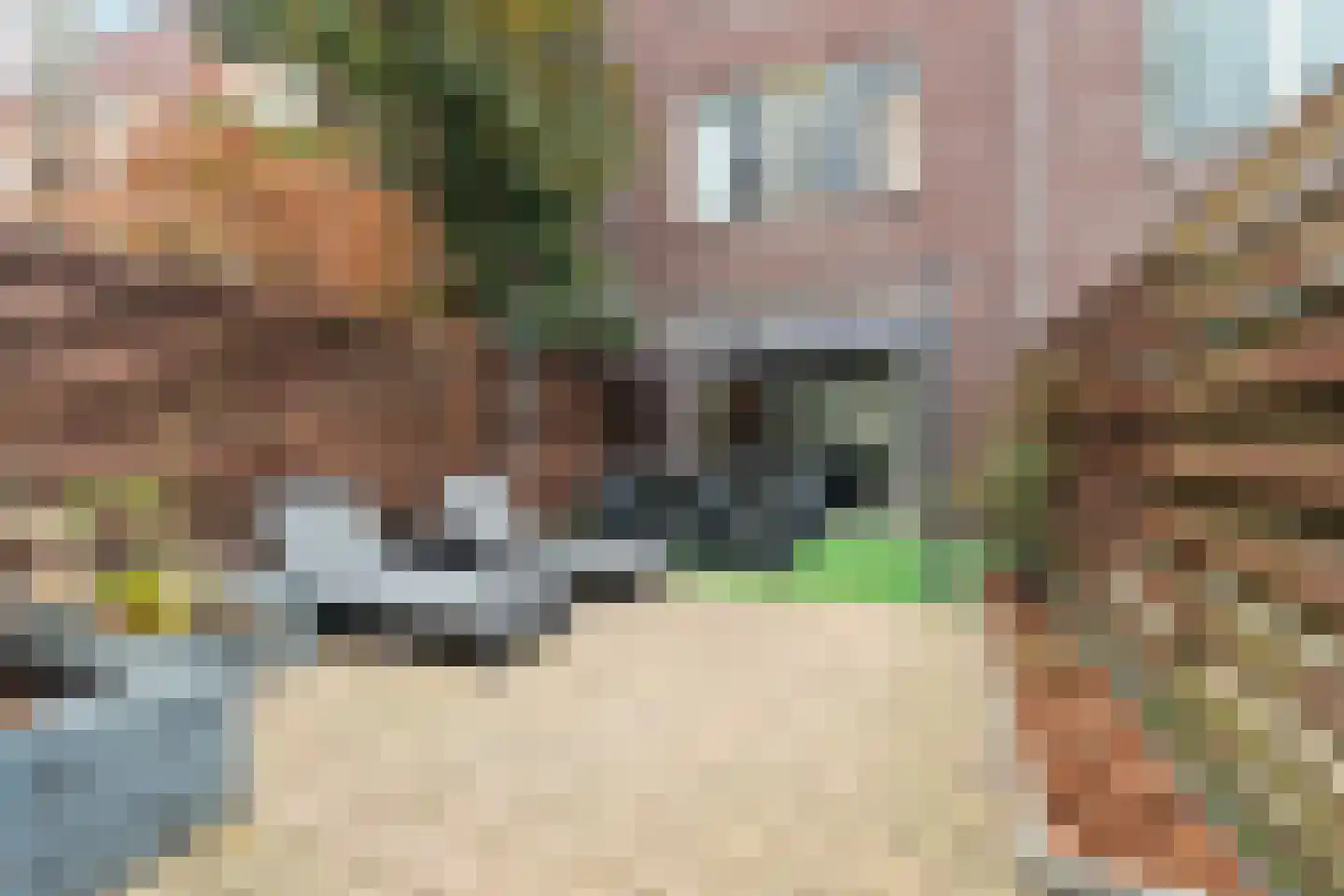 Zijdewindestraat 93 Rotterdam thumbnail 62
