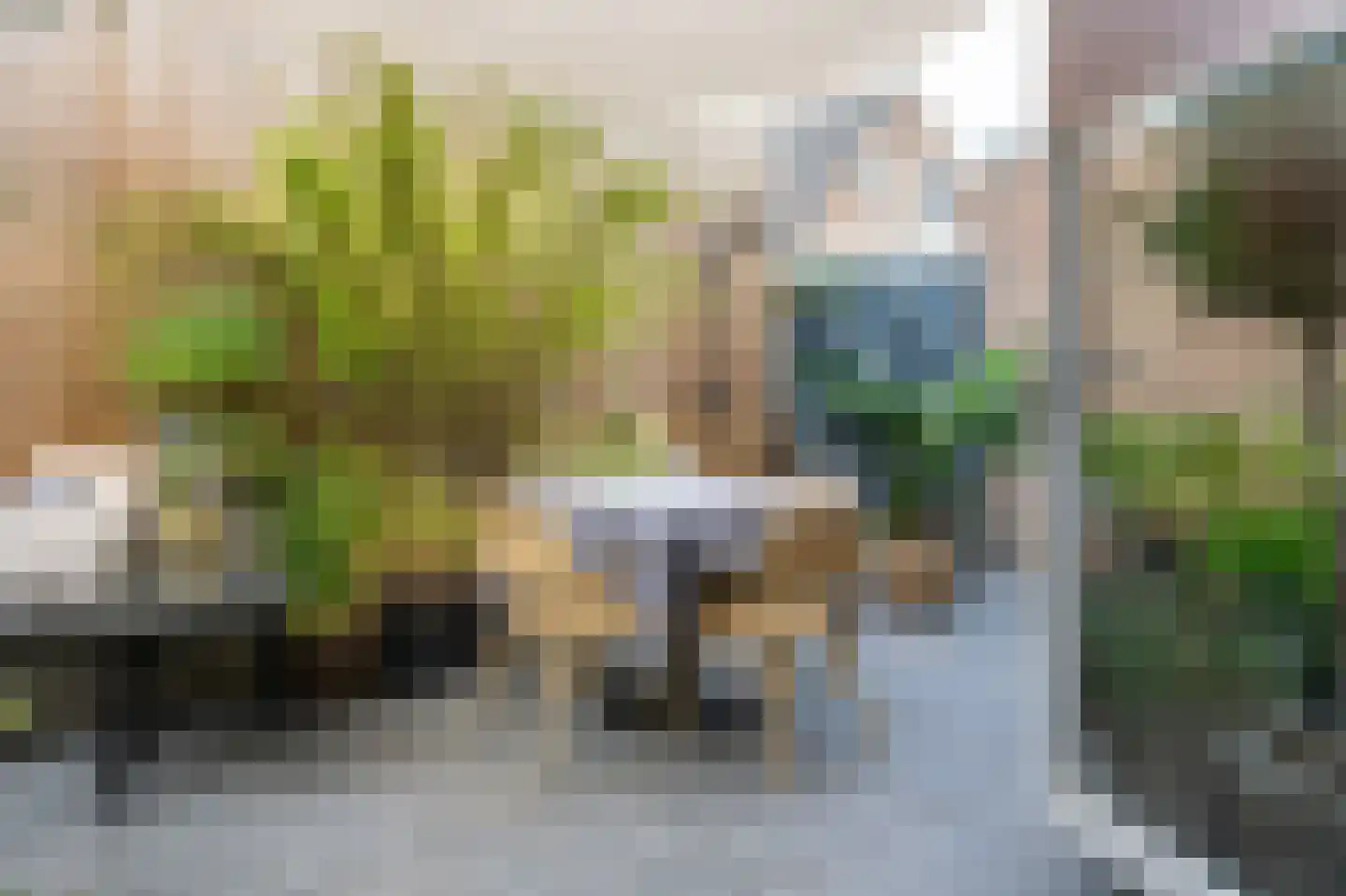 Zijdstraat 67 b Aalsmeer thumbnail 11