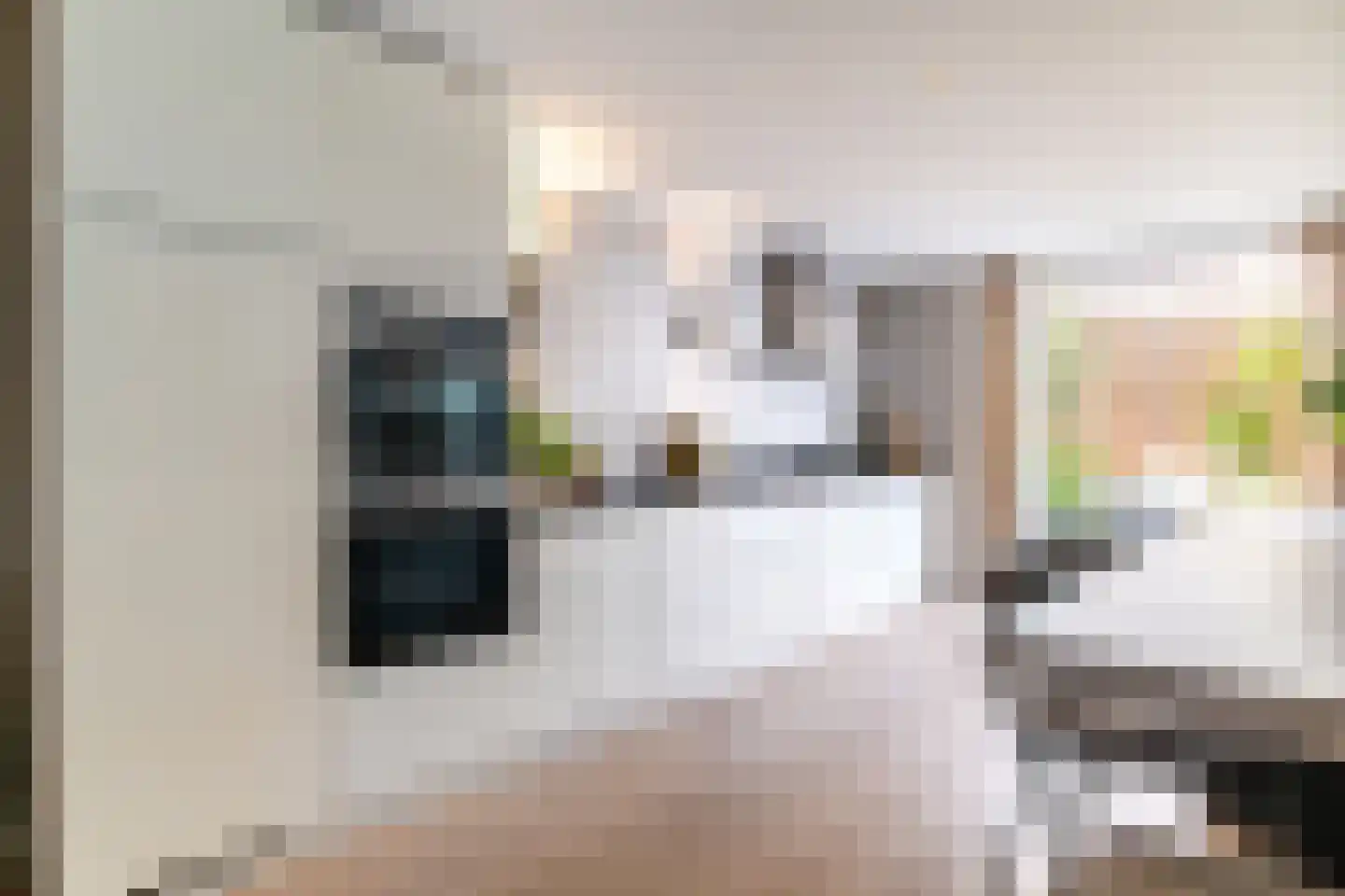 Zijdstraat 67 b Aalsmeer thumbnail 15