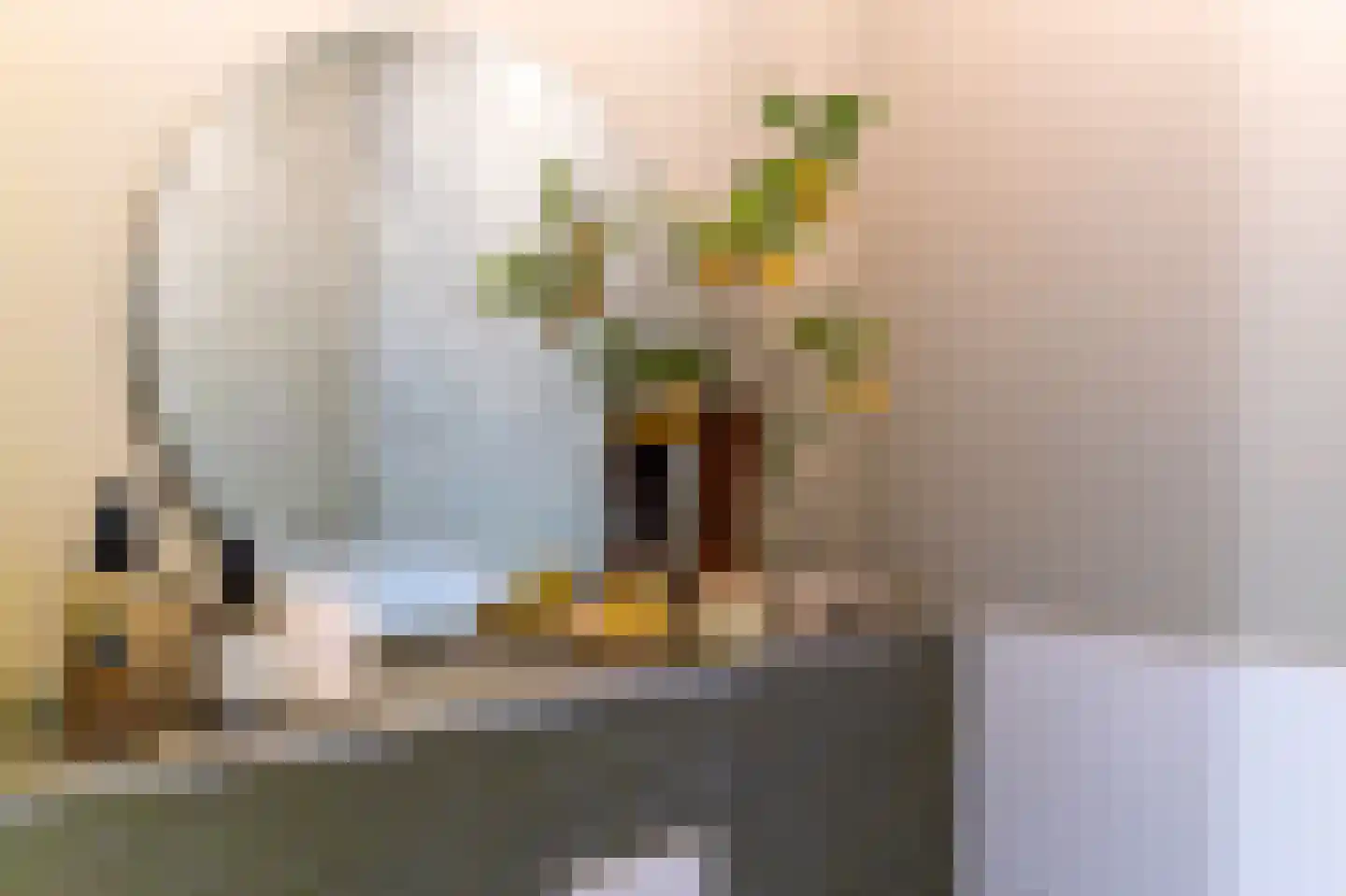 Zijdstraat 67 b Aalsmeer thumbnail 30