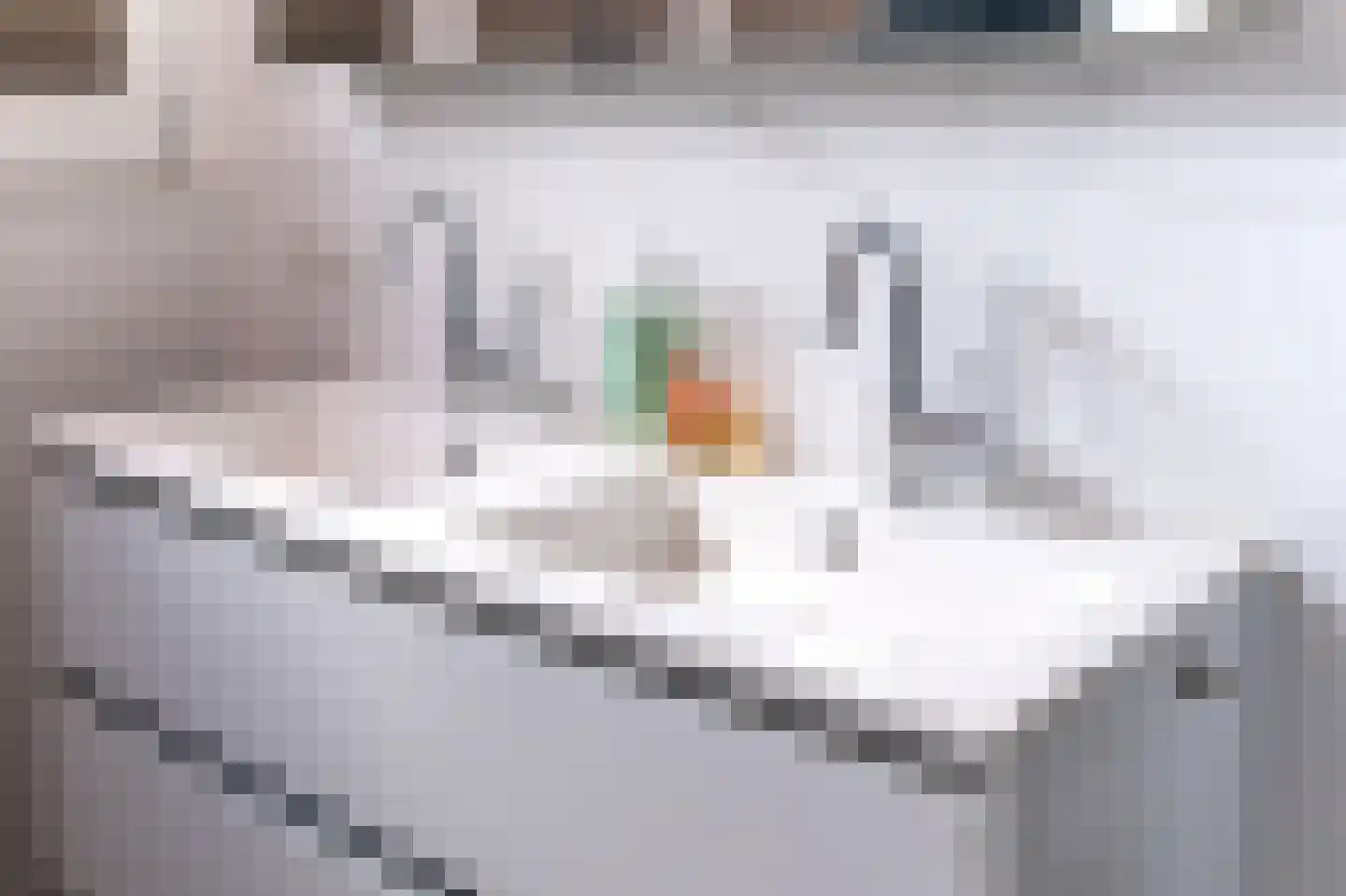 Zijdstraat 67 b Aalsmeer thumbnail 38