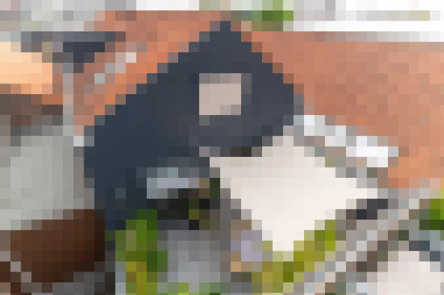Zijdstraat 67 b Aalsmeer thumbnail 5