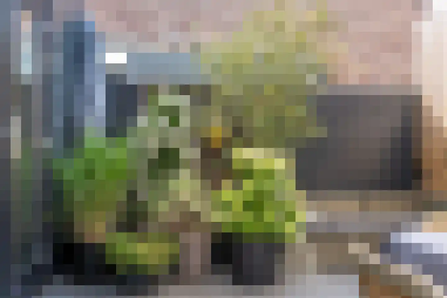 Zijdstraat 67 b Aalsmeer thumbnail 7