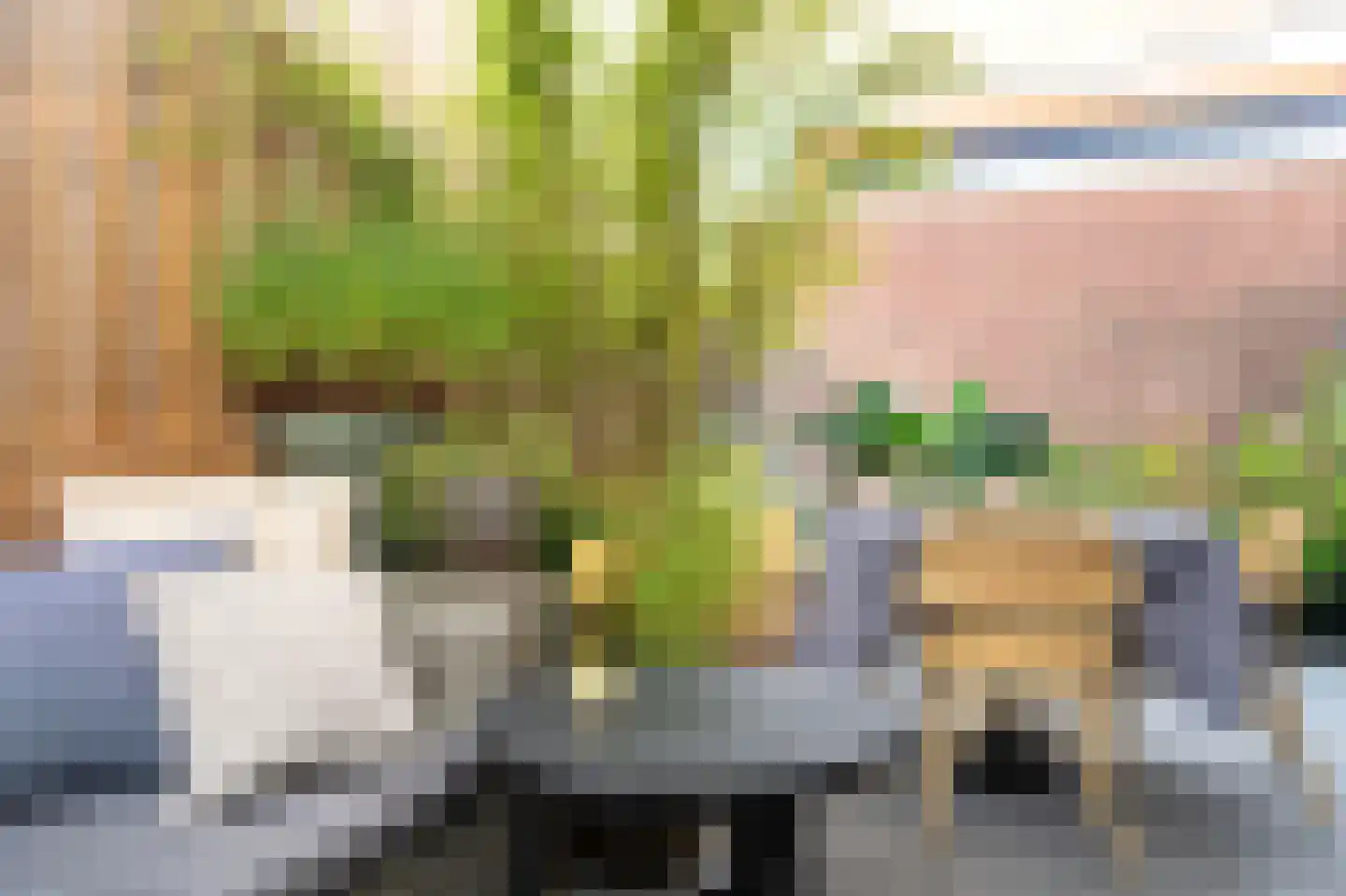 Zijdstraat 67 b Aalsmeer thumbnail 9