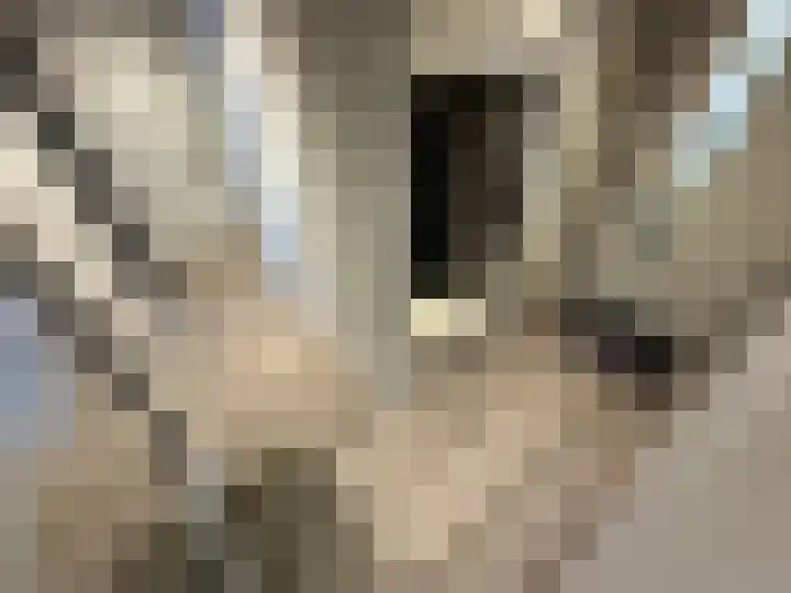 Zijdstraat 9 d Aalsmeer thumbnail 7