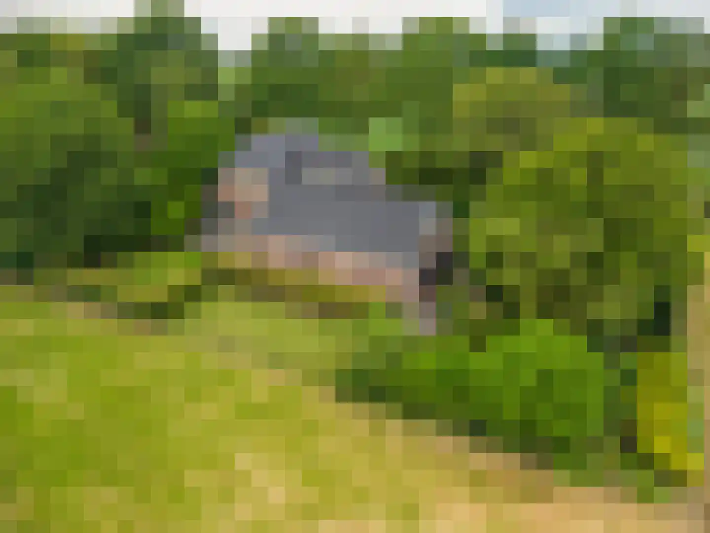 Zijdstukkerweg 6 A Stadskanaal thumbnail 13