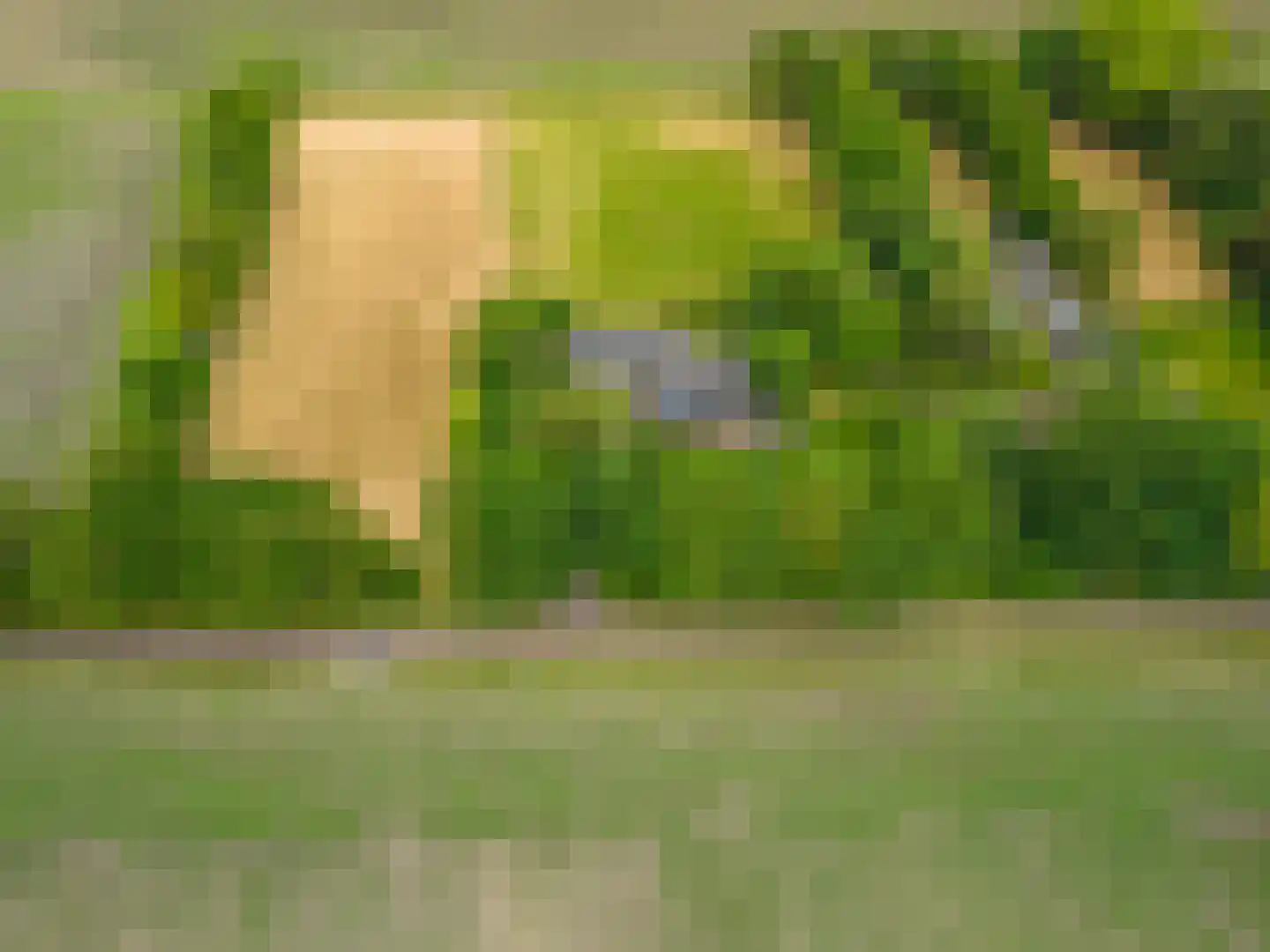 Zijdstukkerweg 6 A Stadskanaal thumbnail 16