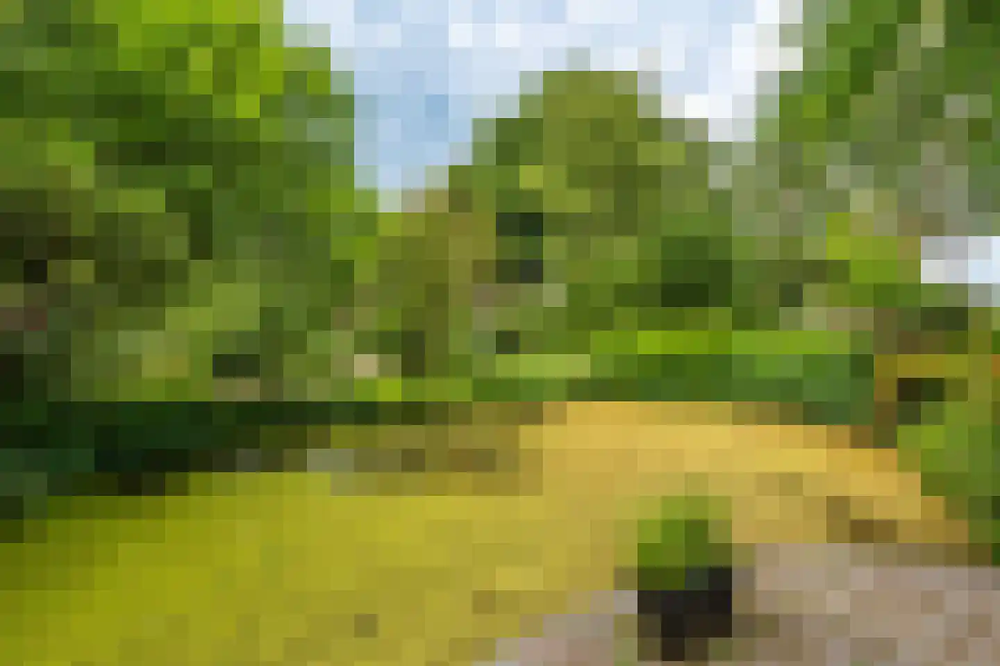 Zijdstukkerweg 6 A Stadskanaal thumbnail 21
