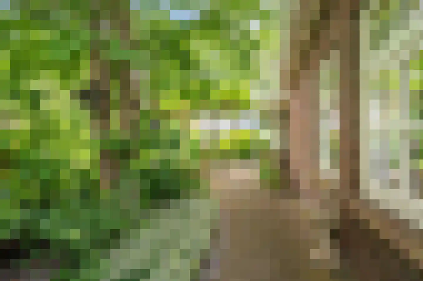Zijdstukkerweg 6 A Stadskanaal thumbnail 22