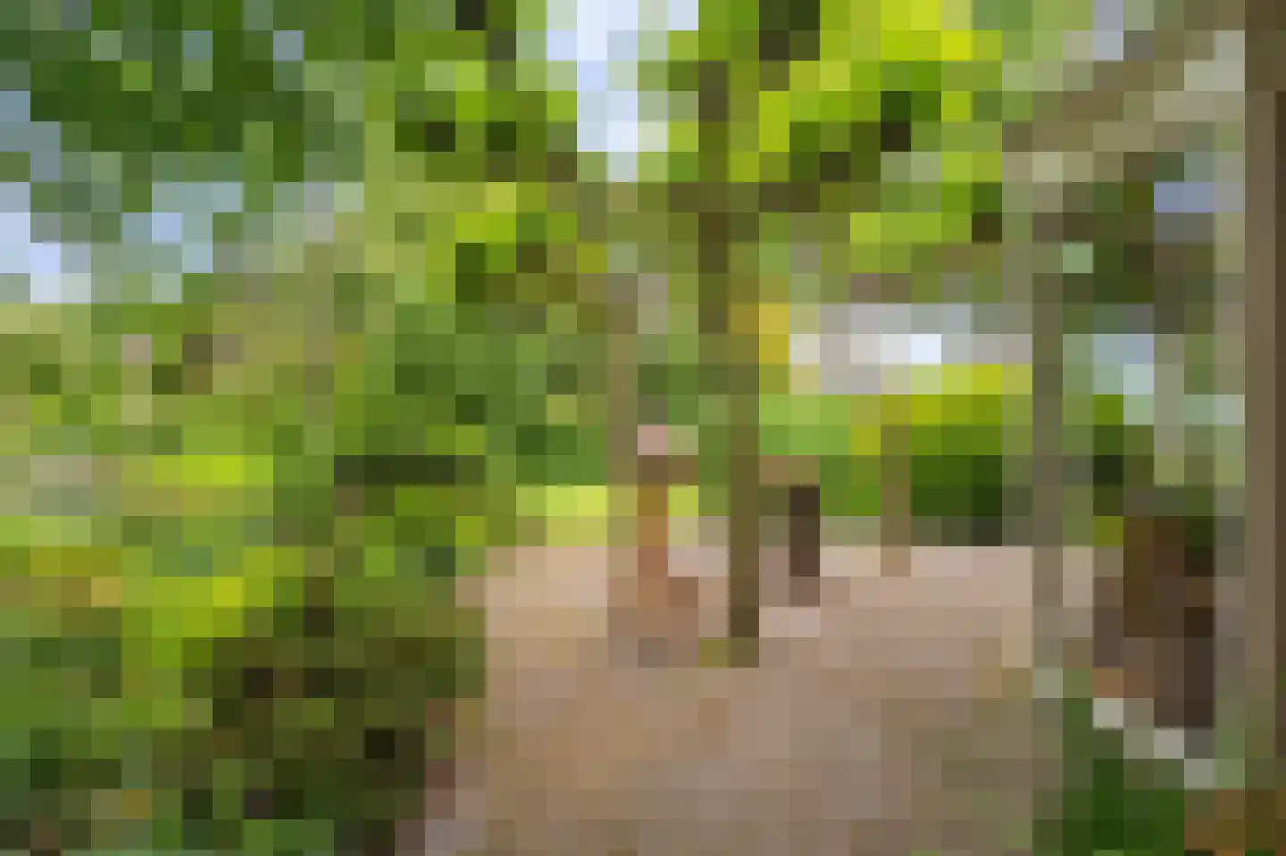 Zijdstukkerweg 6 A Stadskanaal thumbnail 23