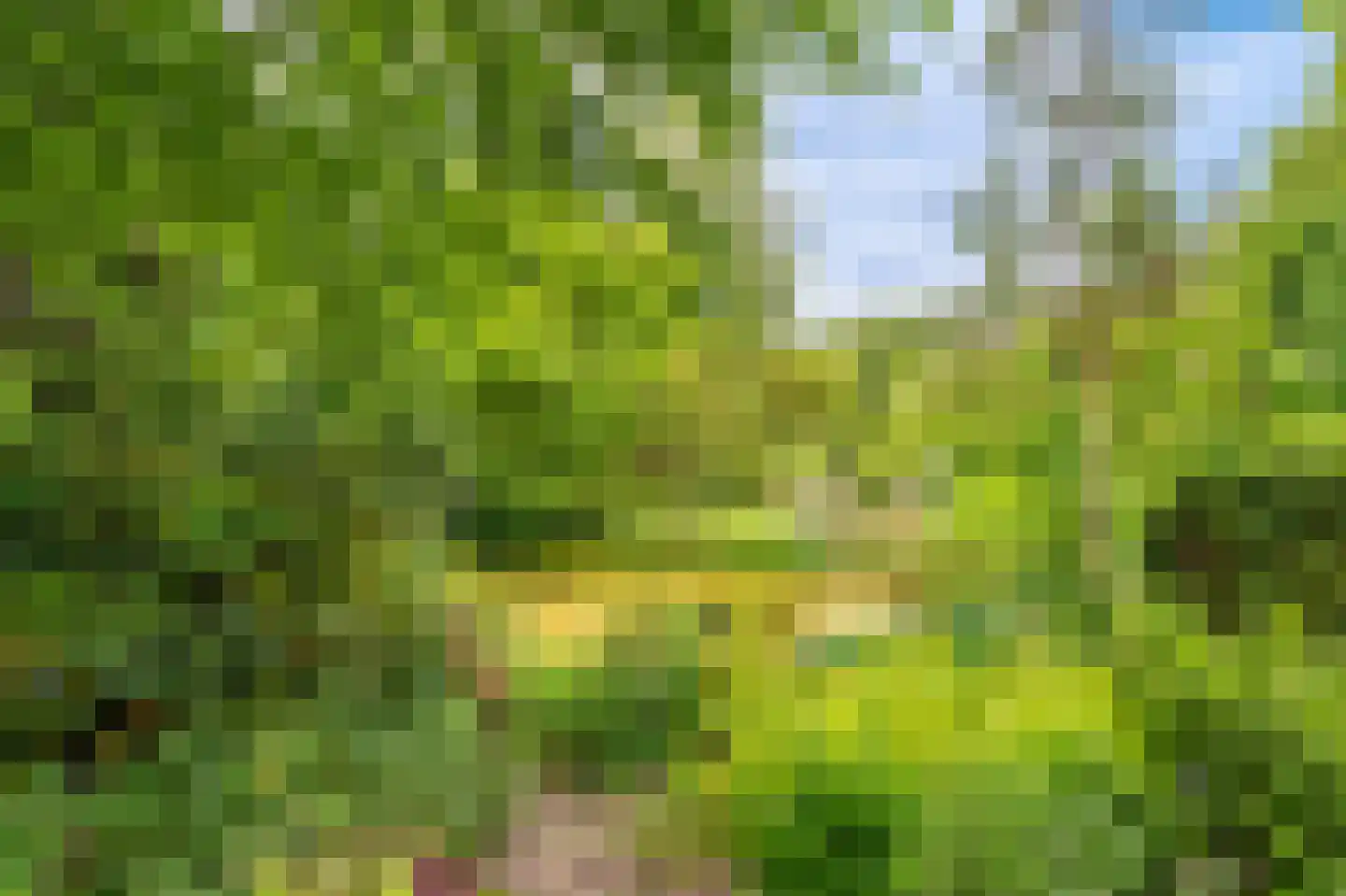 Zijdstukkerweg 6 A Stadskanaal thumbnail 26