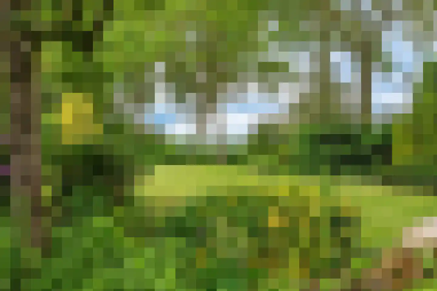 Zijdstukkerweg 6 A Stadskanaal thumbnail 27