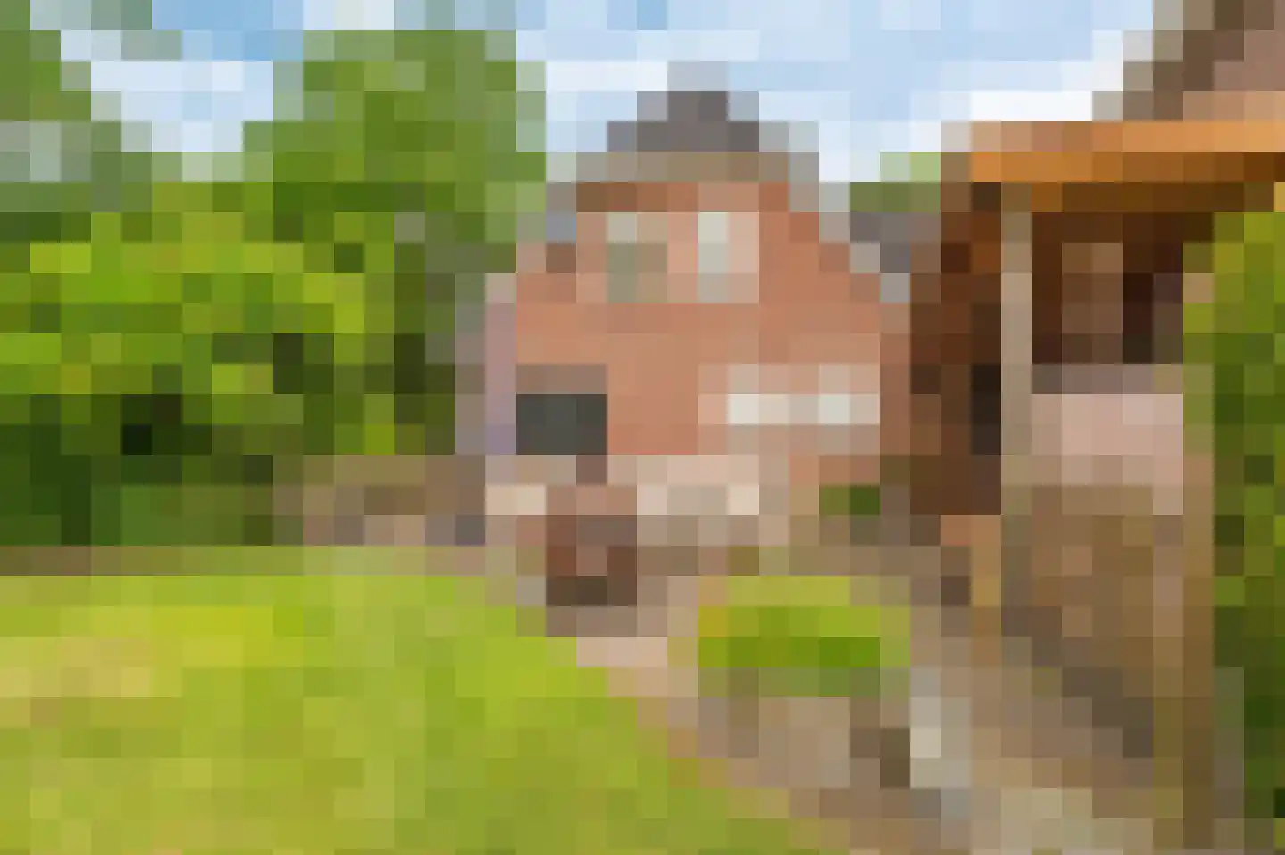 Zijdstukkerweg 6 A Stadskanaal thumbnail 29