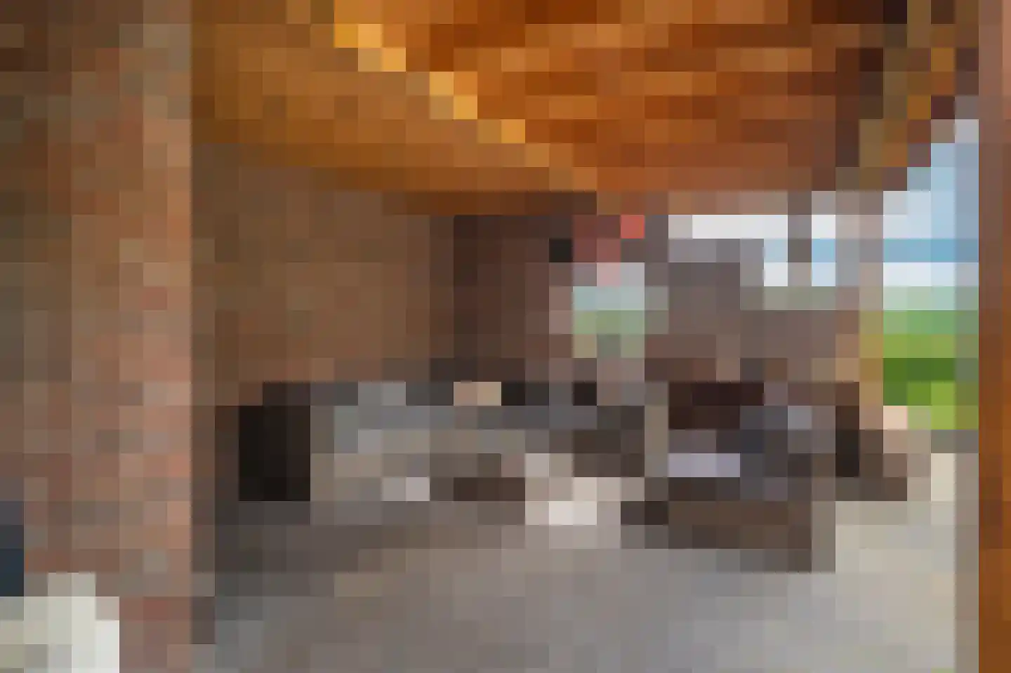 Zijdstukkerweg 6 A Stadskanaal thumbnail 33