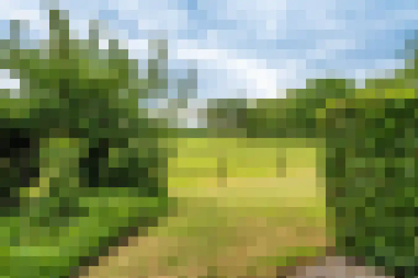 Zijdstukkerweg 6 A Stadskanaal thumbnail 35