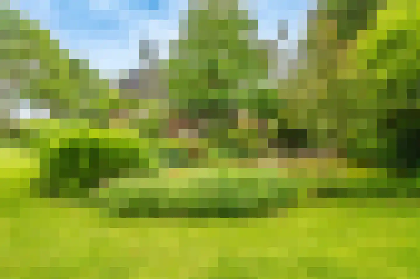Zijdstukkerweg 6 A Stadskanaal thumbnail 36