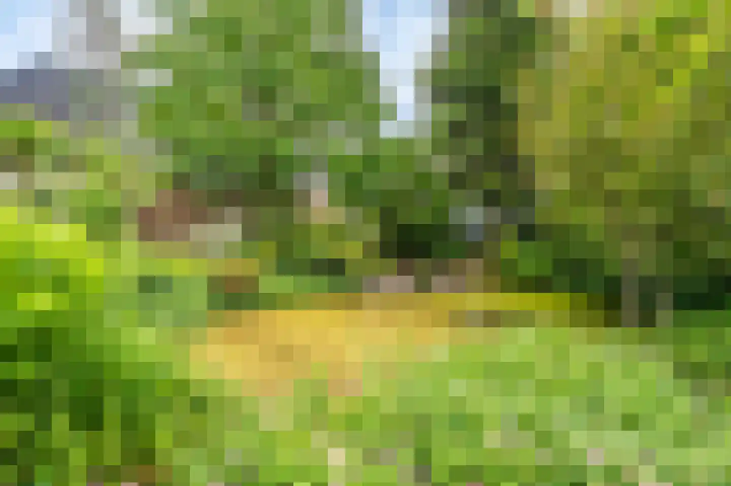Zijdstukkerweg 6 A Stadskanaal thumbnail 37