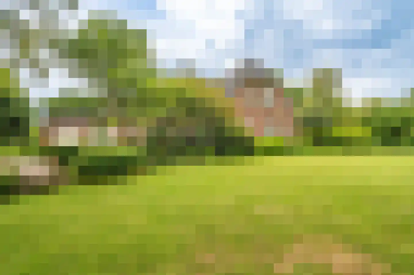 Zijdstukkerweg 6 A Stadskanaal thumbnail 4