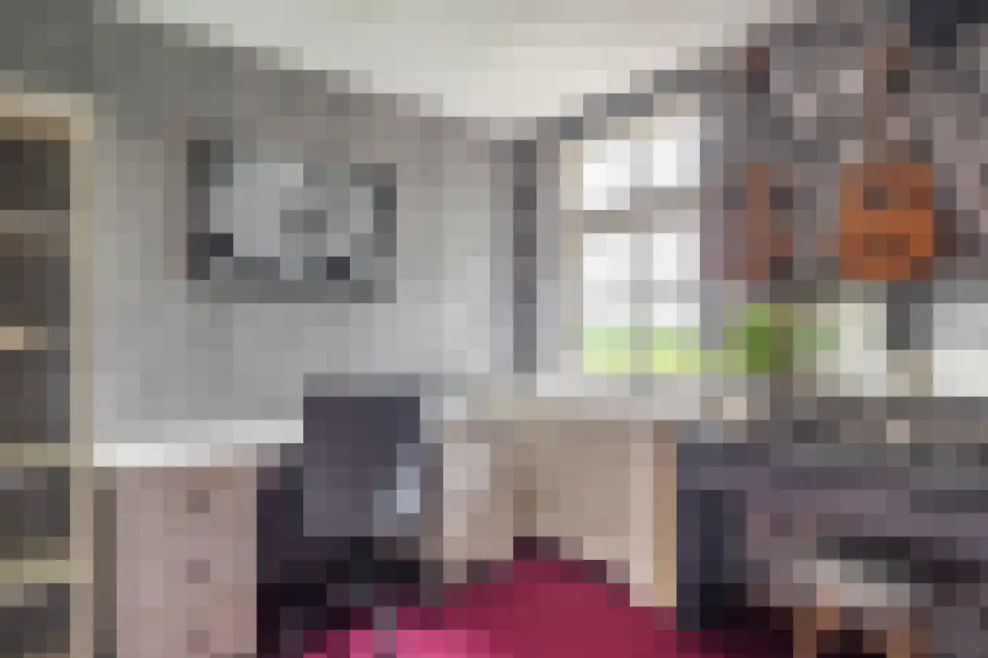 Zijdstukkerweg 6 A Stadskanaal thumbnail 74