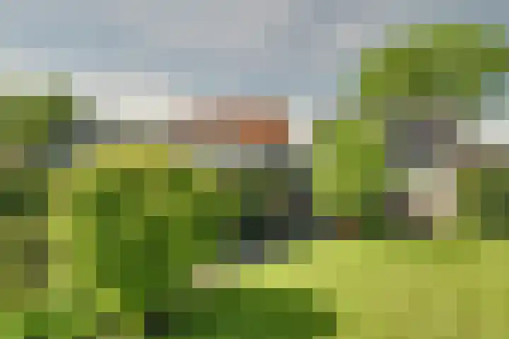 Zijdwerk 29 Zwaagdijk-Oost thumbnail 22