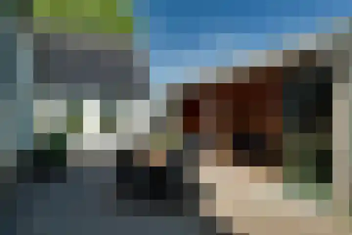 Zijdwerk 29 Zwaagdijk-Oost thumbnail 23
