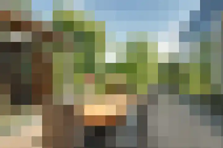 Zijdwerk 29 Zwaagdijk-Oost thumbnail 26