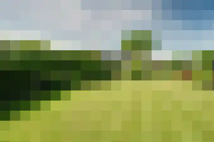 Zijdwerk 29 Zwaagdijk-Oost thumbnail 29