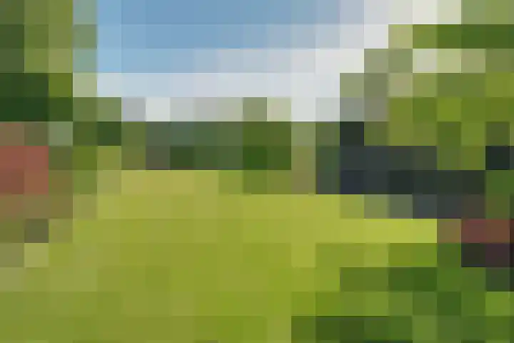 Zijdwerk 29 Zwaagdijk-Oost thumbnail 30