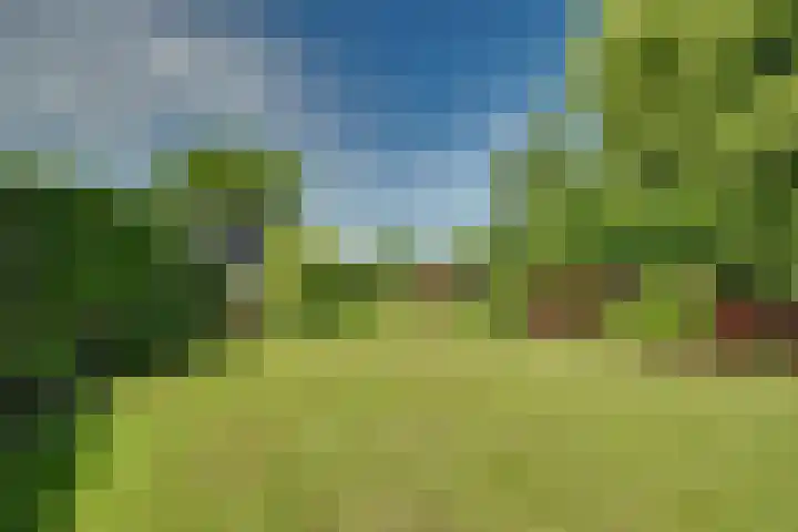 Zijdwerk 29 Zwaagdijk-Oost thumbnail 31