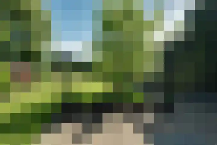 Zijdwerk 29 Zwaagdijk-Oost thumbnail 32