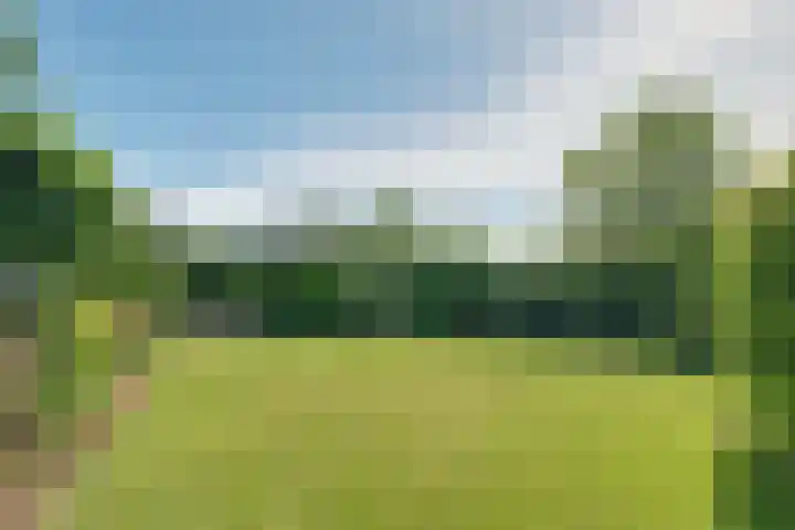 Zijdwerk 29 Zwaagdijk-Oost thumbnail 33