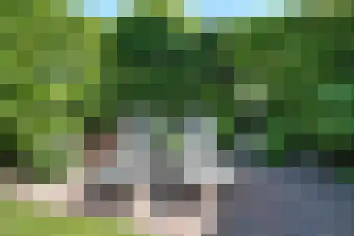Zijdwerk 29 Zwaagdijk-Oost thumbnail 34